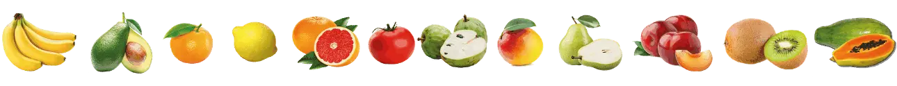 Logo Demo